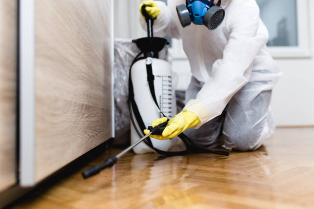 Best Cockroach Control Services  in Daly City, CA