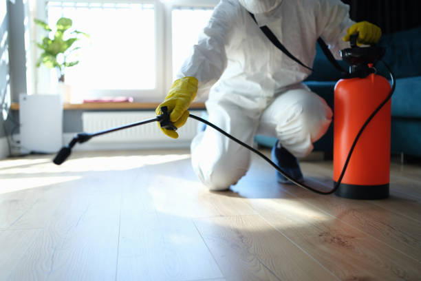 Professional Pest Control in Daly City, CA