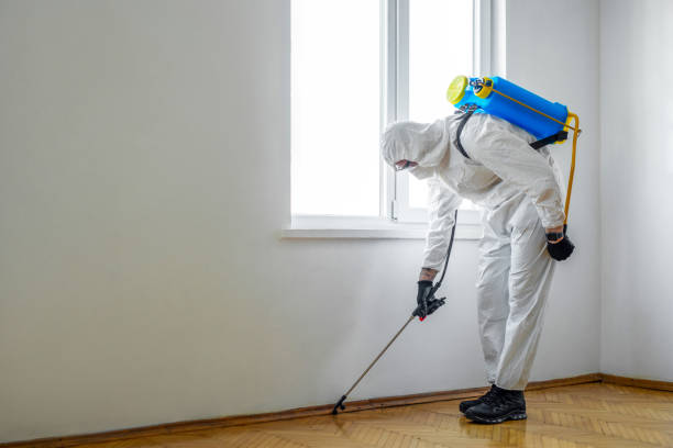 Best Residential Pest Control  in Daly City, CA