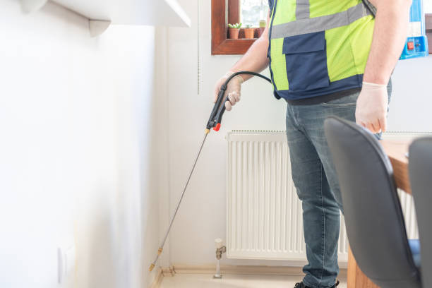 Best Affordable Pest Control Services  in Daly City, CA