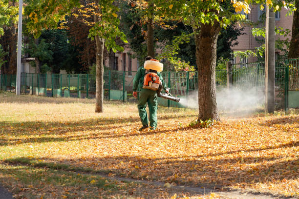 Best Pest Control Near Me  in Daly City, CA